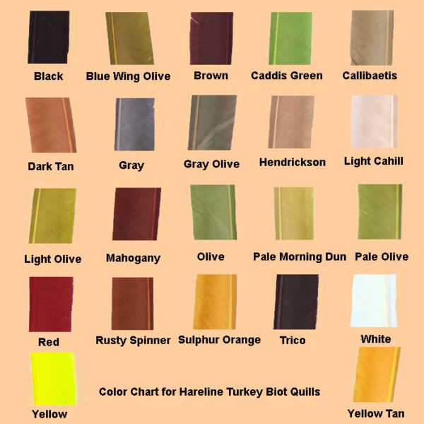 Turkey Biots Color Chart