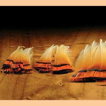 Golden Pheasant Tippets