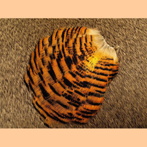 Golden Pheasant Tippet