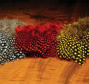 Guinea Hen Feathers