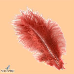 Nature's Spirit Prime Marabou Plume