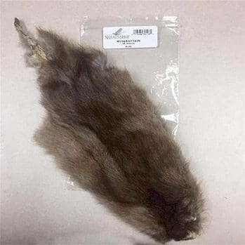 Muskrat Skin