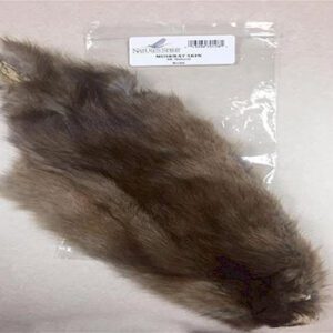 Muskrat Skin