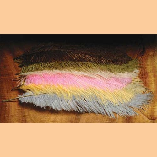 Ostrich Plumes