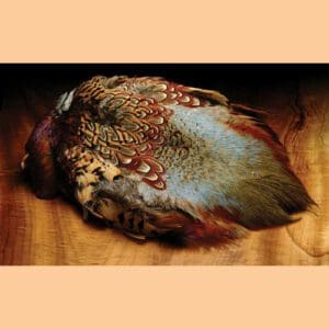 Ringneck Pheasant Skin