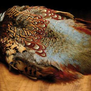 Ringneck Pheasant Skin