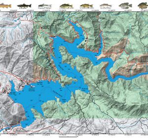 Pine Flat Lake Map