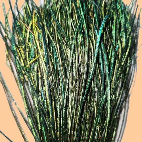 Peacock Herl