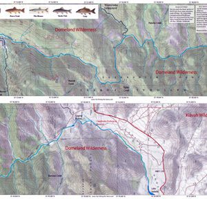 South Fork Kern 1&2