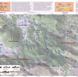 South Fork Kern 6