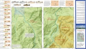 Silver King Creek - Carson Drainage