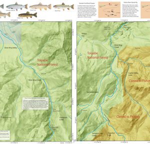 Silver King Creek - Carson Drainage