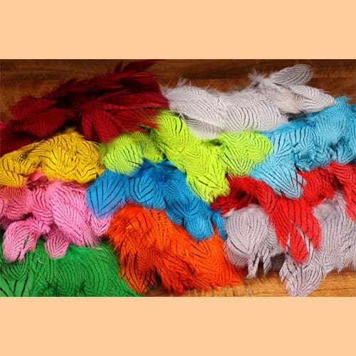 Silver Pheasant Body Feathers