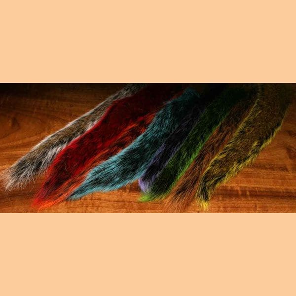 Squirrel Tail