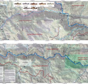 Upper Kern 3&4