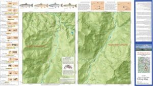 Wolf Creek - Carson Drainage