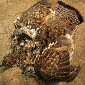 Grouse Skin