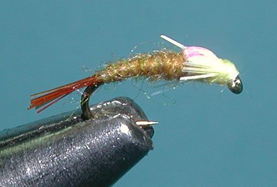 Flashback Barr Emerger PMD (Wet)