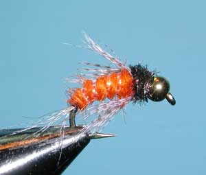 Bird of Prey, October Caddis