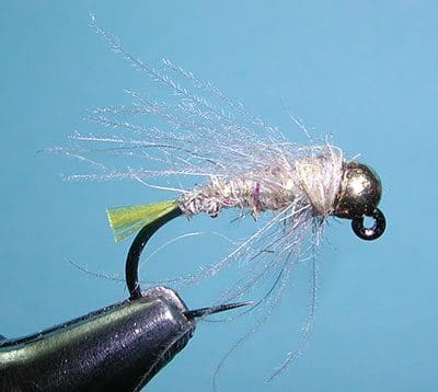 Cannabis products including dried marijuana and a container with a label.