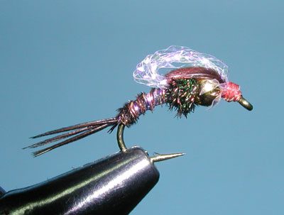 Bubbleback Emerger, Pheasant