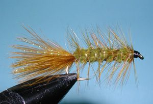 Olive Woolly Bugger