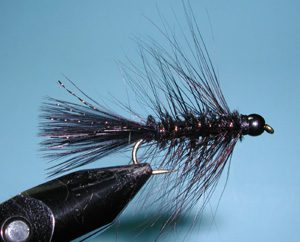 Black Woolly Bugger