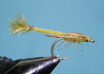 Burk's Sierra Damsel Nymph, Olive