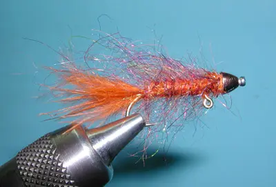 Balanced Leech, Canadian Orange