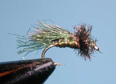 Caddis Emerger, Olive