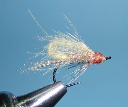 CDC Bubbleback Caddis , Tan