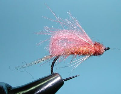 CDC Bubbleback Caddis, Brown