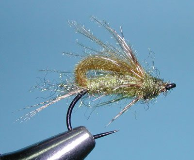 CDC Bubbleback Caddis, Olive