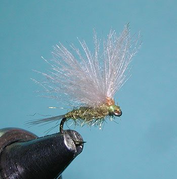 CDC Dun Split Wing