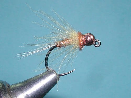 Cannabis products including dried marijuana and a container with a label.