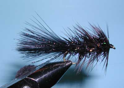 Crystal Bugger, Black