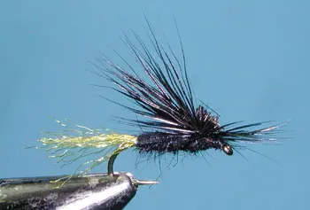 E/C Caddis, Black