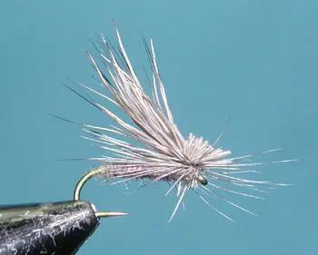 Hot Creek Caddis