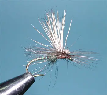 Missing Link Caddis