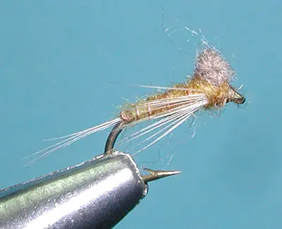 Floating Nymph, Western Green Drake