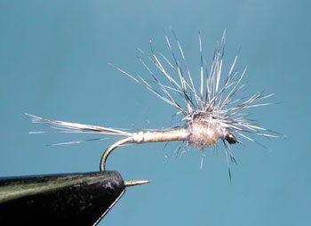 Hackle Stacker Callibaetis