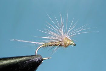 Hackle Stacker BWO