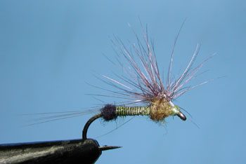 Hackle Stacker, Female Baetis