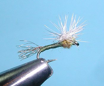 Sparkle Stacker, BWO