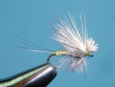 Biot Hairwing Dun, BWO