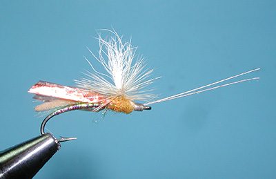 Headlight Caddis, Tan