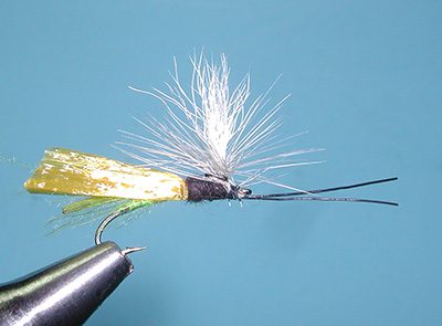 Headlight Caddis, Caddis Green