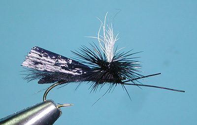 Headlight Caddis, Black