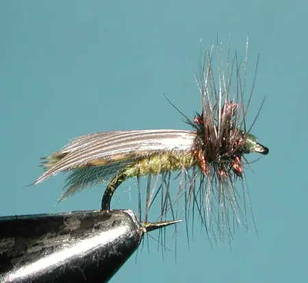 Hemingway Caddis