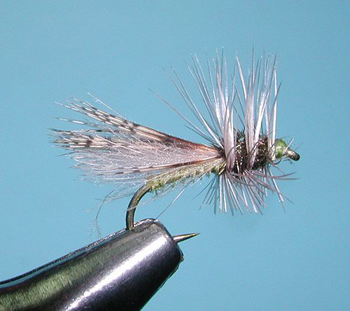 Henry's Fork Caddis, Olive